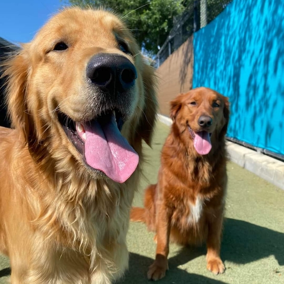 Meet your Posher, Laurie - Picture 2 of 4